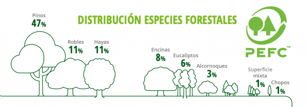 Distribución種森林